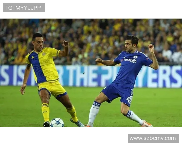 南京羽毛球队在城市联赛中的奋进之路与辉煌成就揭秘