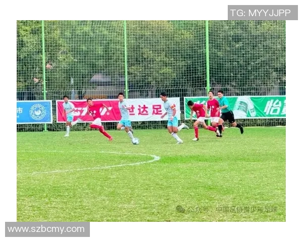 深圳足球队在精英赛中的技术表现分析与评价