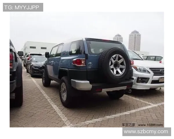 南京羽毛球队在洲际杯积分榜中以51分稳居第一名展现强劲实力